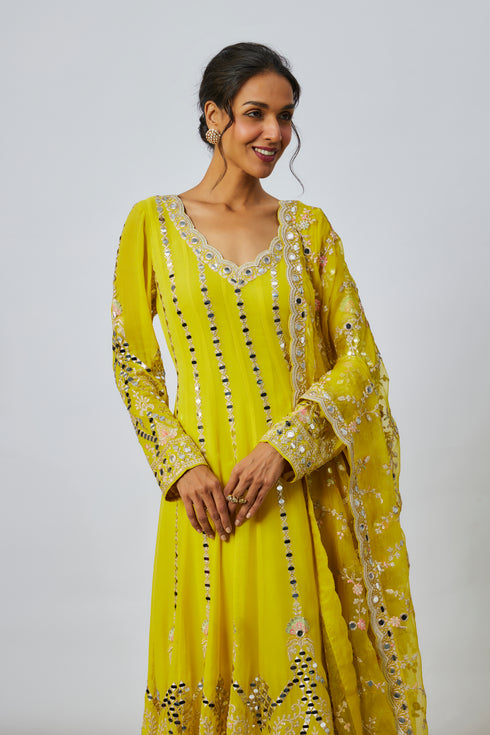 Cheshtha Anarkali Set